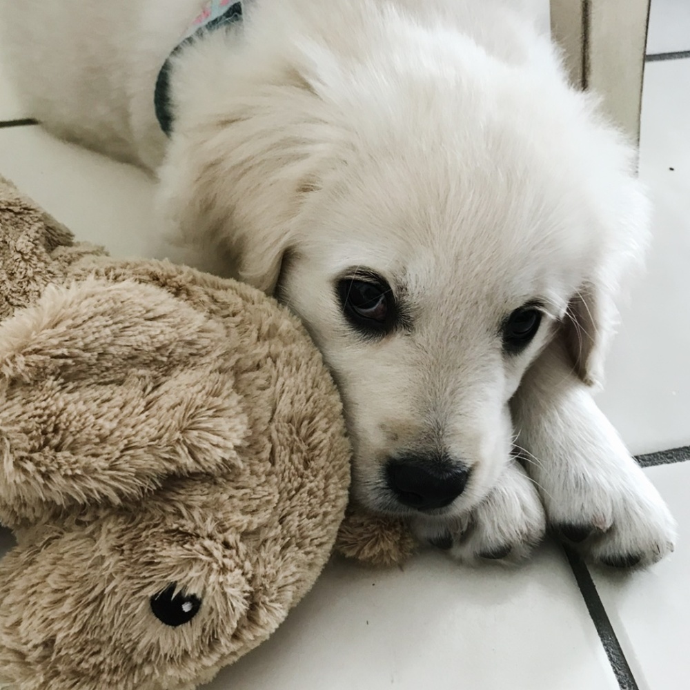 Meet your Posher, Debbie